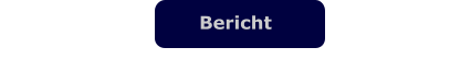 Bericht