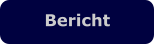 Bericht