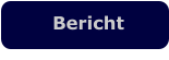 Bericht