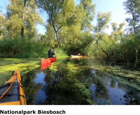 Nationalpark Biesbosch