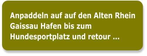 Anpaddeln auf auf den Alten Rhein Gaissau Hafen bis zum Hundesportplatz und retour ...