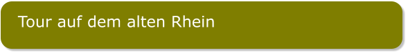 Tour auf dem alten Rhein